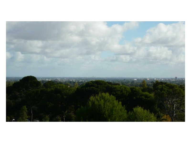 17 Muggs Hill Road, Torrens Park SA 5062