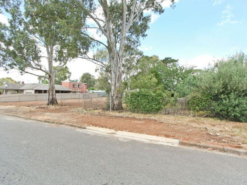7 Powell Street, Magill SA 5072