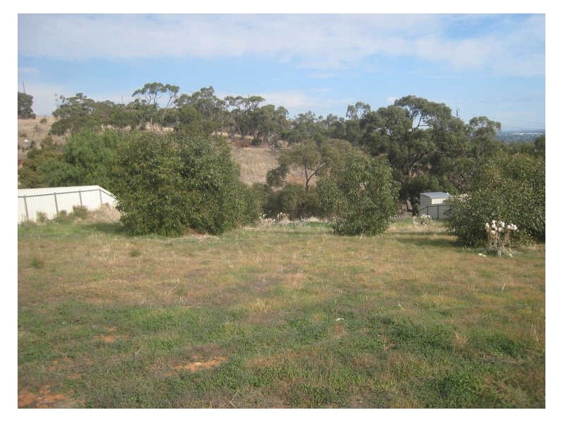 42 Honeysuckle Drive, Hillbank SA 5112