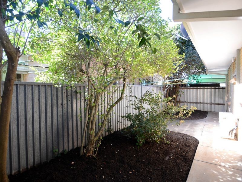 2/347A Portrush Road, Toorak Gardens SA 5065