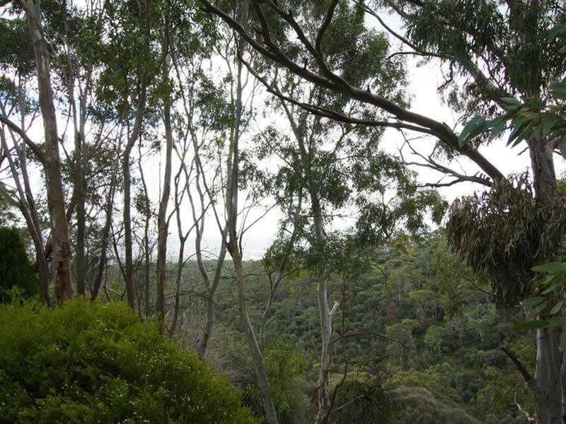 25 Ridgeland Drive, Teringie SA 5072