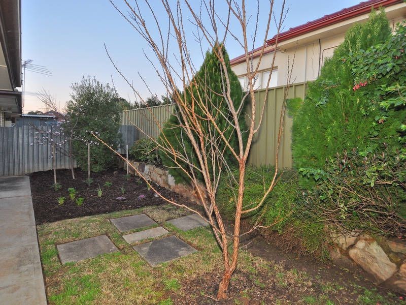 7/11 Murray Avenue, Magill SA 5072