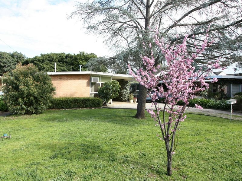 14 Rodney Avenue, Tranmere SA 5073