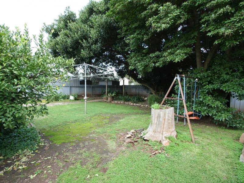 14 Rodney Avenue, Tranmere SA 5073