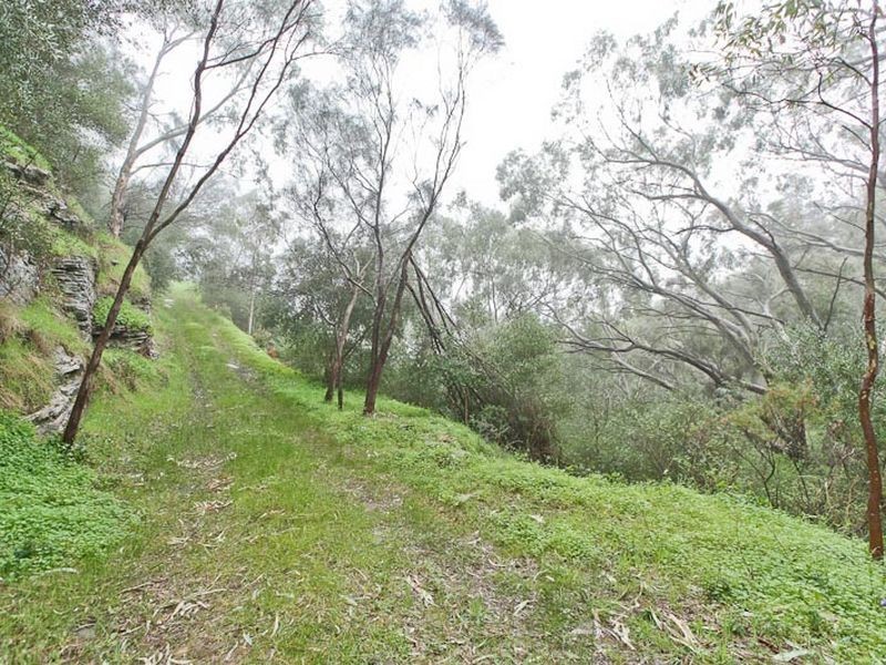 Lot 96 Norton Summit Road, Teringie SA 5072
