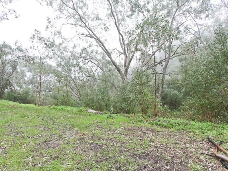 Lot 96 Norton Summit Road, Teringie SA 5072