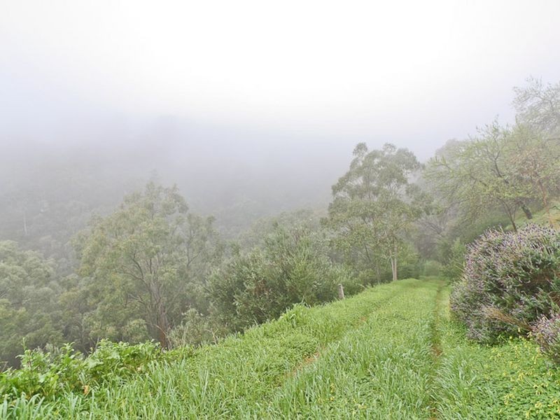 Lot 96 Norton Summit Road, Teringie SA 5072