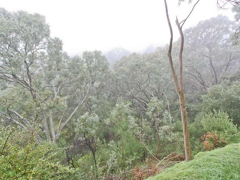 Lot 96 Norton Summit Road, Teringie SA 5072