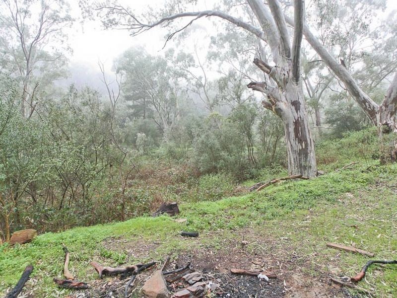 Lot 96 Norton Summit Road, Teringie SA 5072