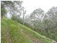 Lot 96 Norton Summit Road, Teringie SA 5072