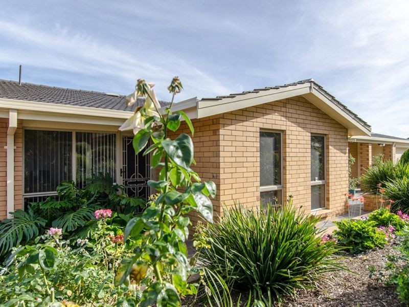 11 Darrell Avenue, Wattle Park SA 5066