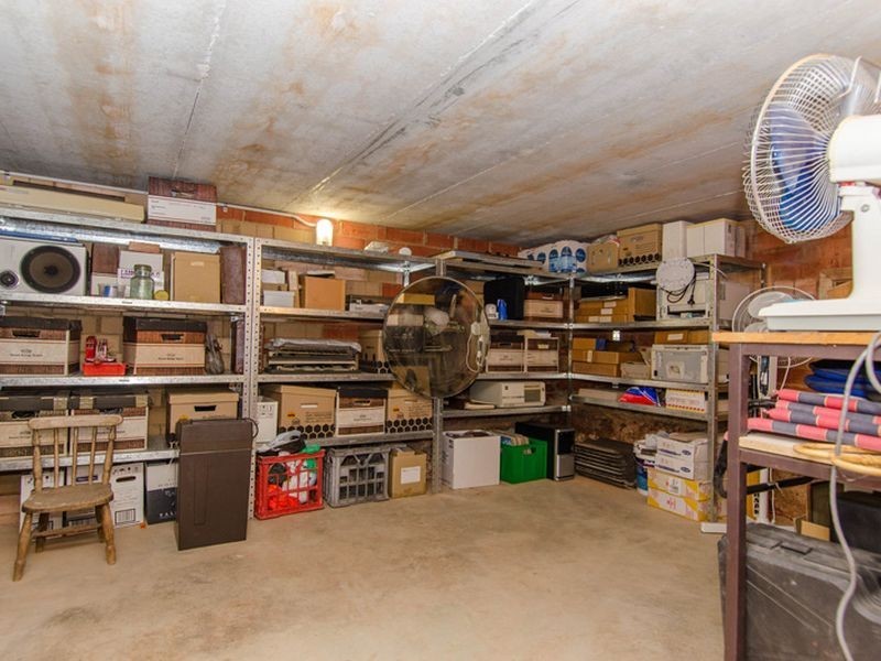 11 Darrell Avenue, Wattle Park SA 5066