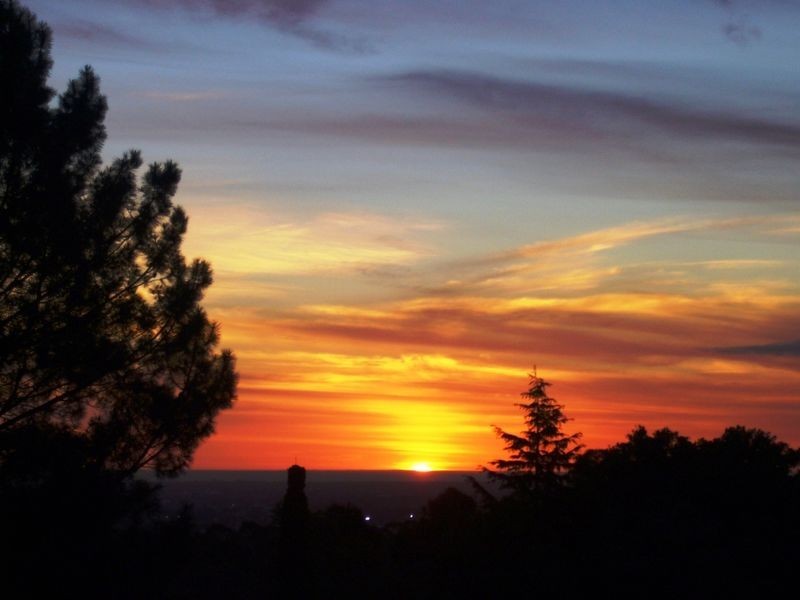 11 Darrell Avenue, Wattle Park SA 5066