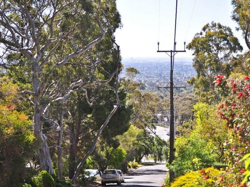 7 Thorpe Road, Burnside SA 5066