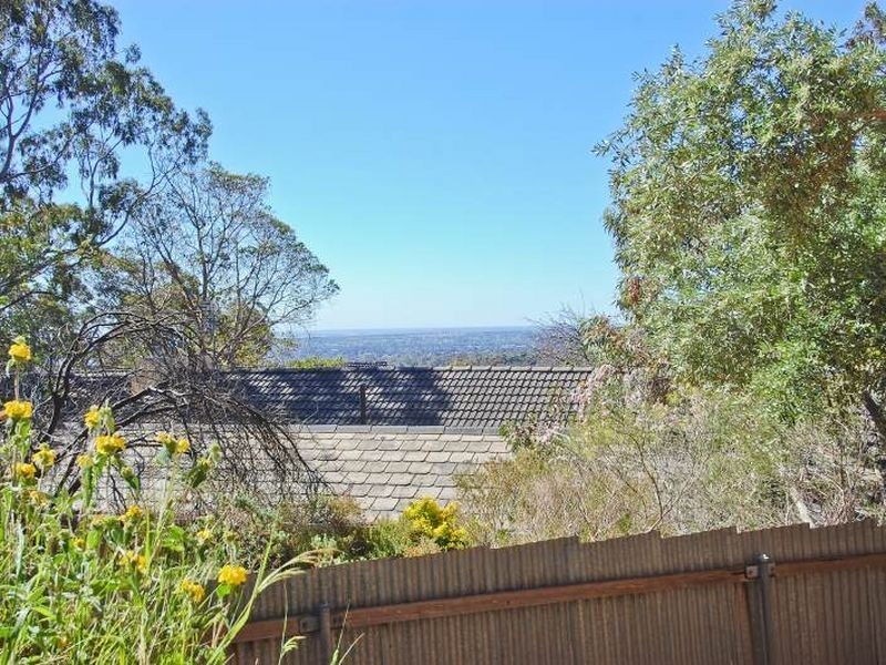 7 Thorpe Road, Burnside SA 5066