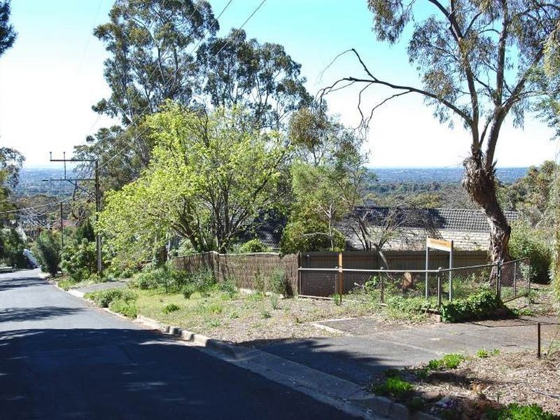 7 Thorpe Road, Burnside SA 5066