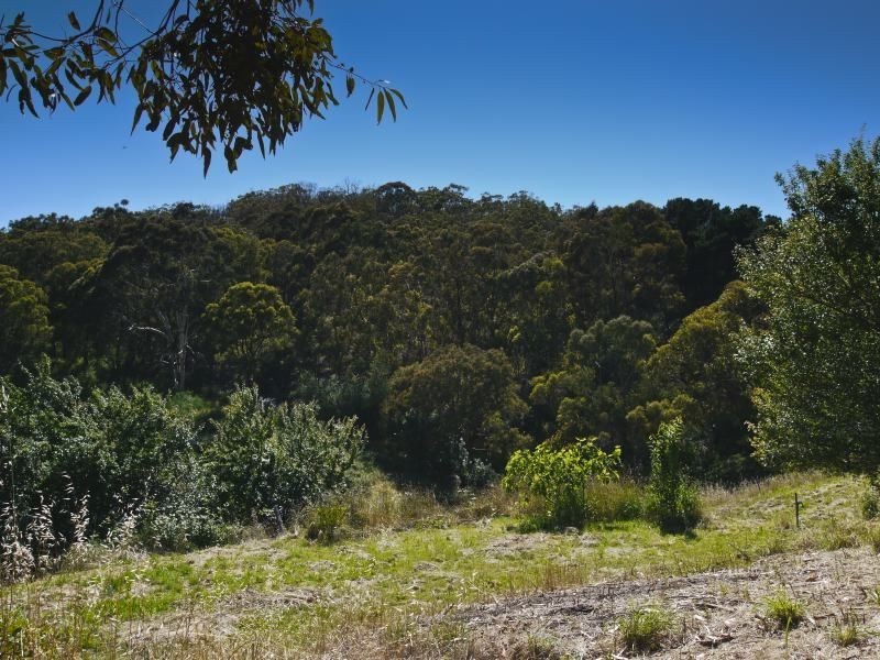 Lot 42 Green Valley Road, Norton Summit SA 5136