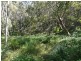 Lot 42 Green Valley Road, Norton Summit SA 5136