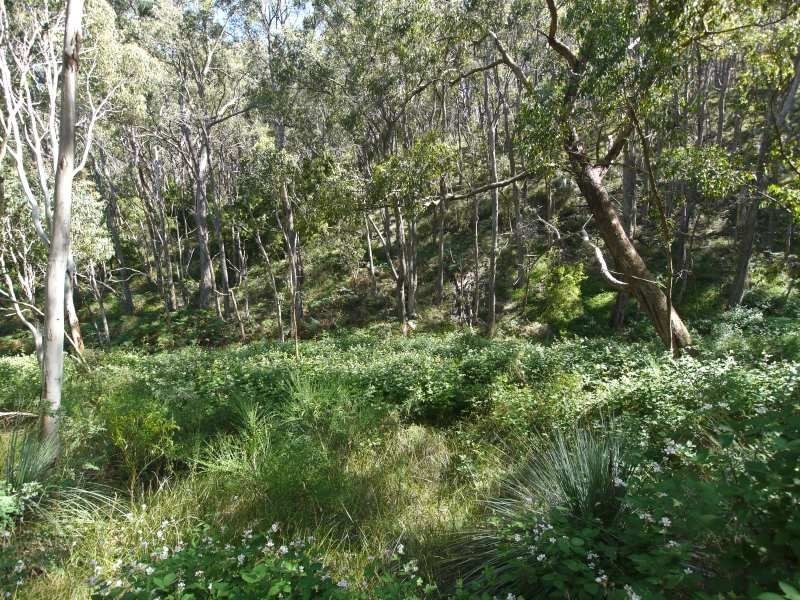 Lot 42 Green Valley Road, Norton Summit SA 5136