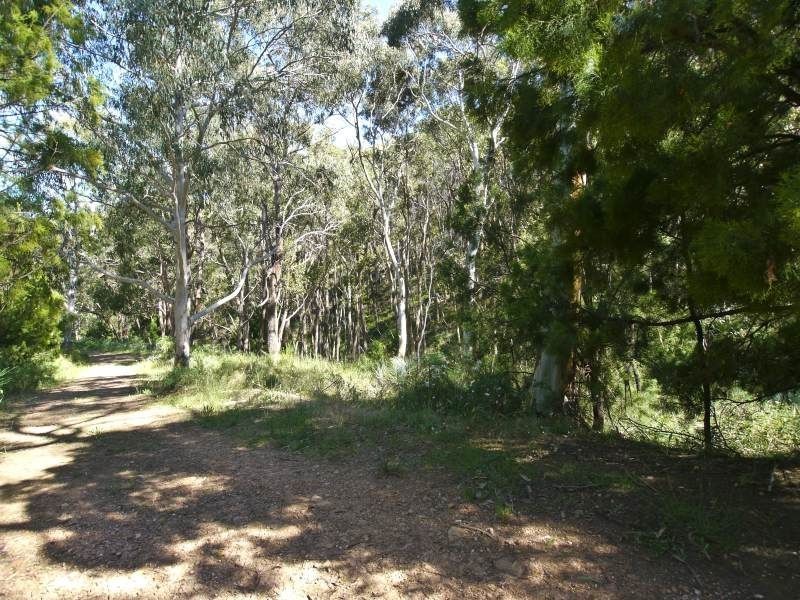 Lot 42 Green Valley Road, Norton Summit SA 5136
