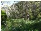 Lot 42 Green Valley Road, Norton Summit SA 5136