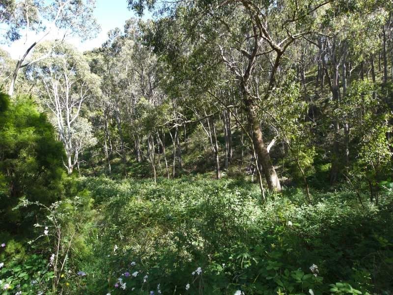 Lot 42 Green Valley Road, Norton Summit SA 5136