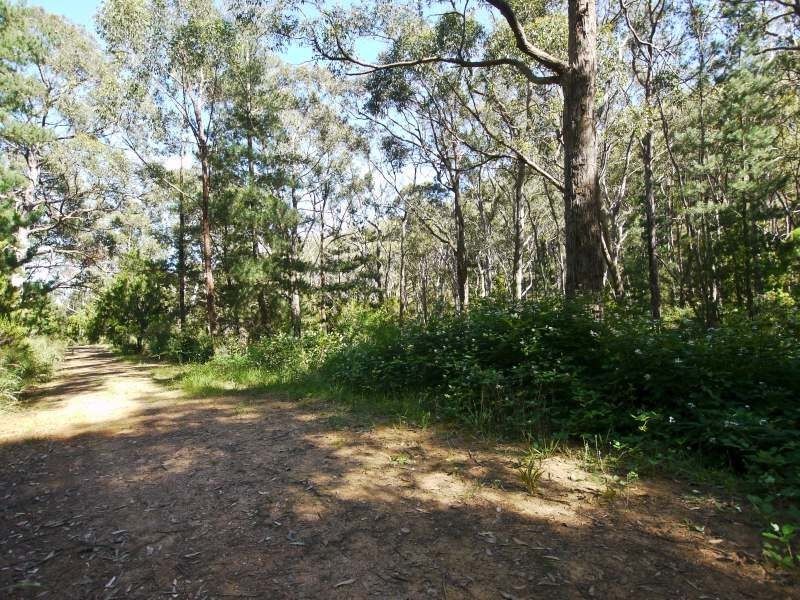 Lot 42 Green Valley Road, Norton Summit SA 5136