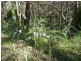 Lot 42 Green Valley Road, Norton Summit SA 5136