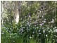 Lot 42 Green Valley Road, Norton Summit SA 5136