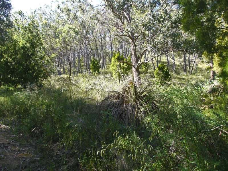 Lot 42 Green Valley Road, Norton Summit SA 5136