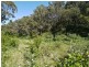 Lot 42 Green Valley Road, Norton Summit SA 5136