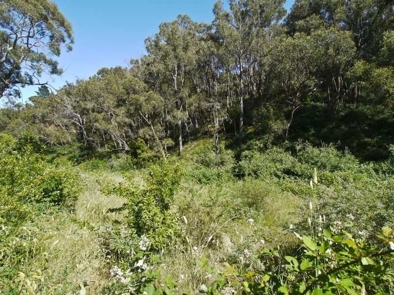 Lot 42 Green Valley Road, Norton Summit SA 5136