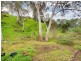 1 Old Norton Summit Road, Teringie SA 5072