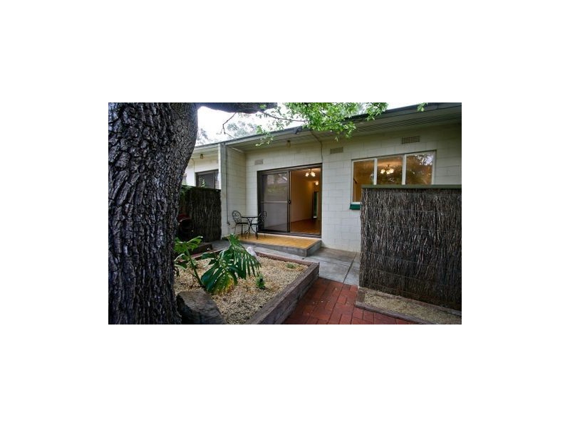 3/5 Edgcumbe Terrace, Rosslyn Park SA 5072