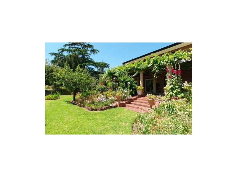 67 Linden Avenue, Hazelwood Park SA 5066