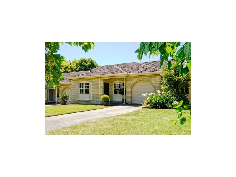 3D Leader Avenue, Toorak Gardens SA 5065