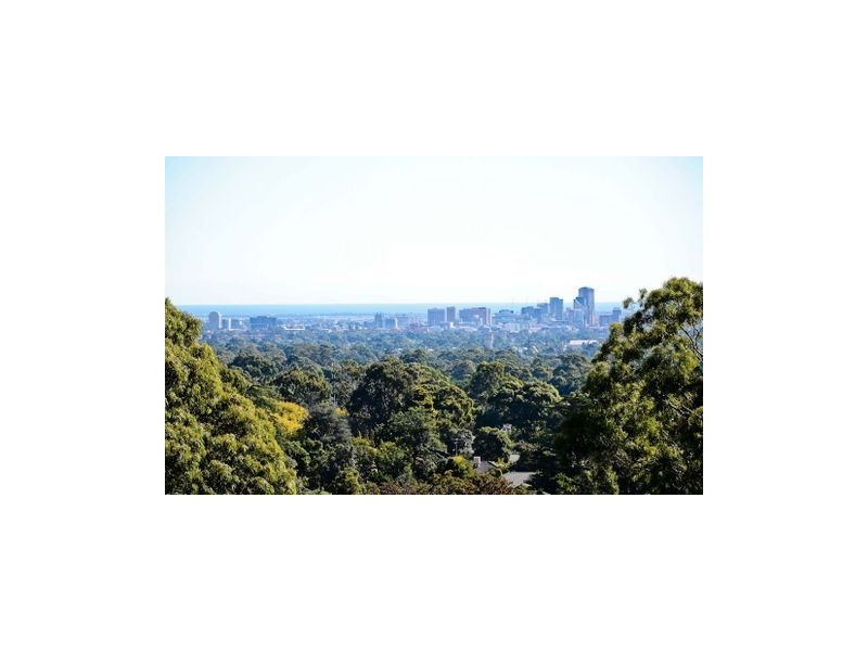 4 Armson Avenue, Magill SA 5072