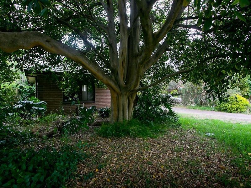 14 Western Avenue, Pasadena SA 5042