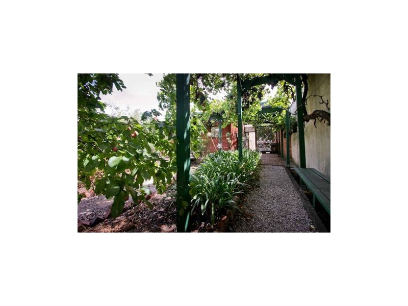 51 Frederick Street, Maylands SA 5069