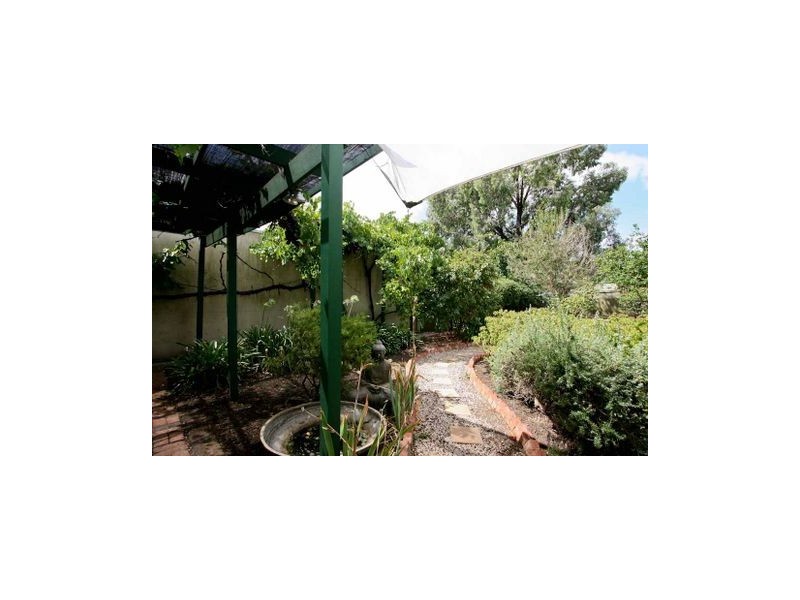 51 Frederick Street, Maylands SA 5069