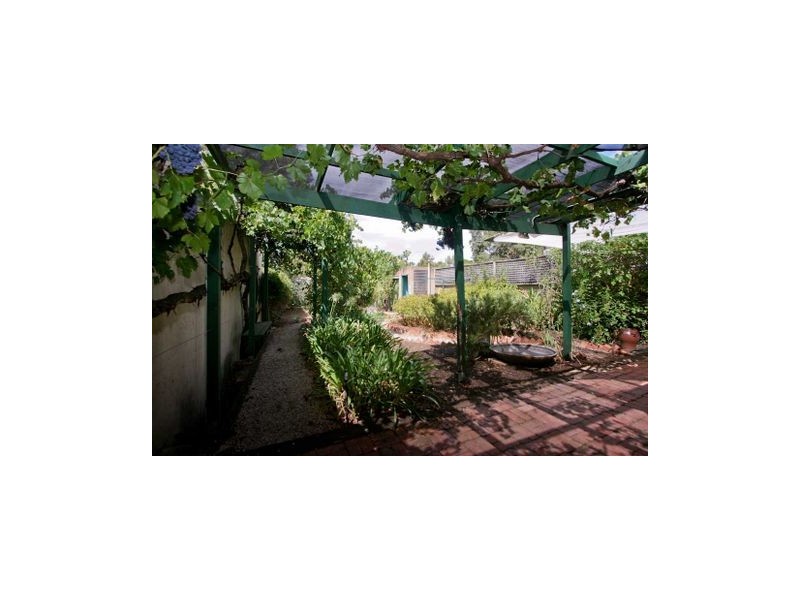 51 Frederick Street, Maylands SA 5069