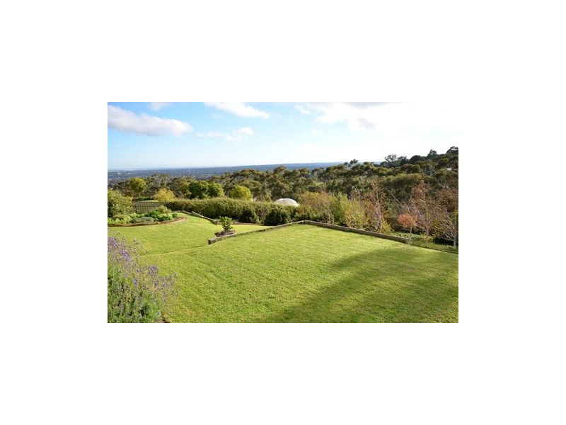 19 Woodland Way, Teringie SA 5072