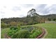 19 Woodland Way, Teringie SA 5072