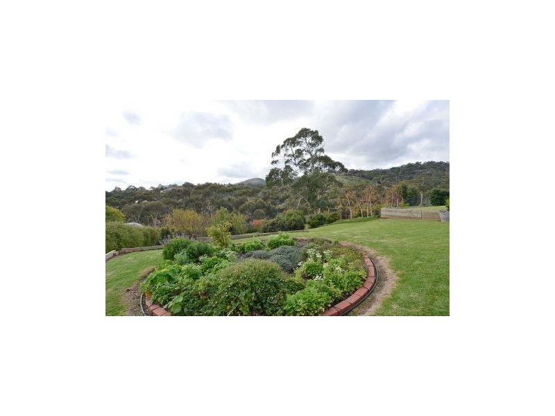 19 Woodland Way, Teringie SA 5072
