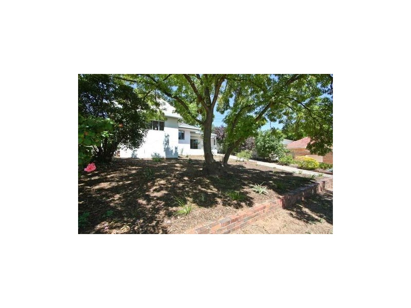 14 Greenham Avenue, Magill SA 5072