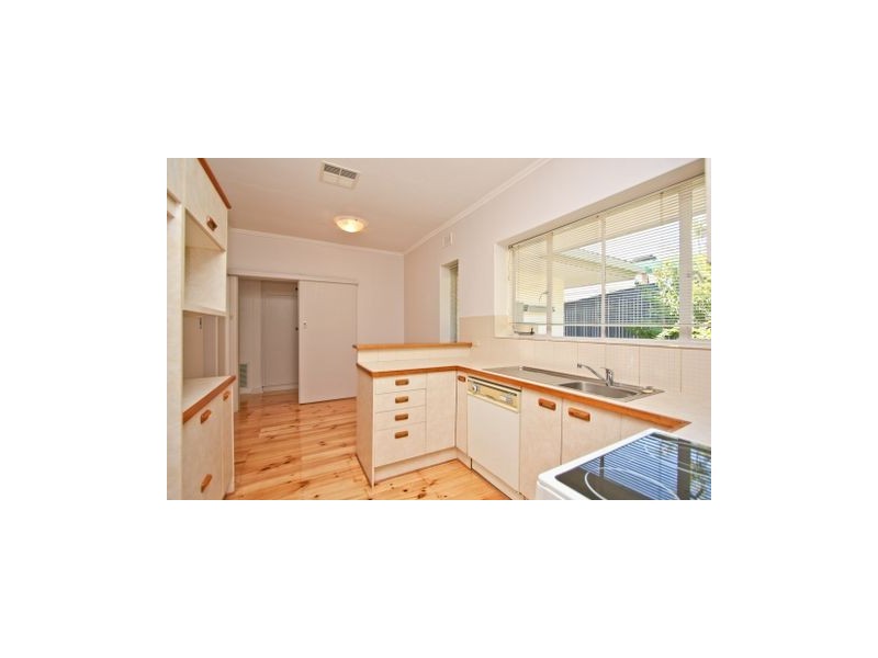 14 Greenham Avenue, Magill SA 5072