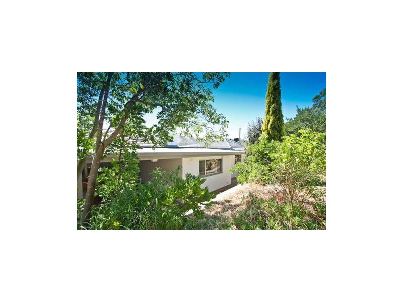 14 Greenham Avenue, Magill SA 5072