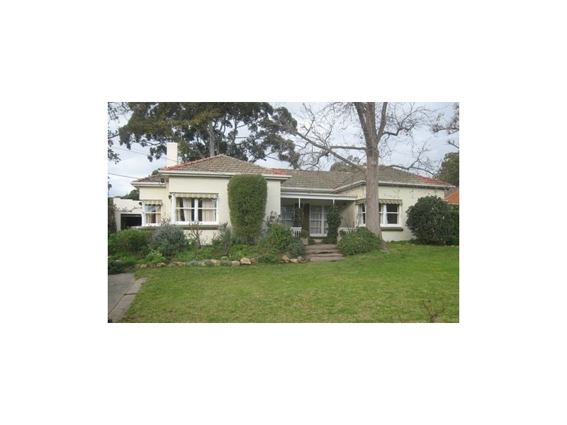 14 Oakleigh Avenue, Magill SA 5072