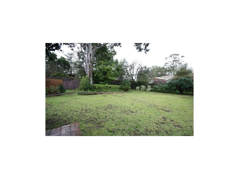 14 Oakleigh Avenue, Magill SA 5072