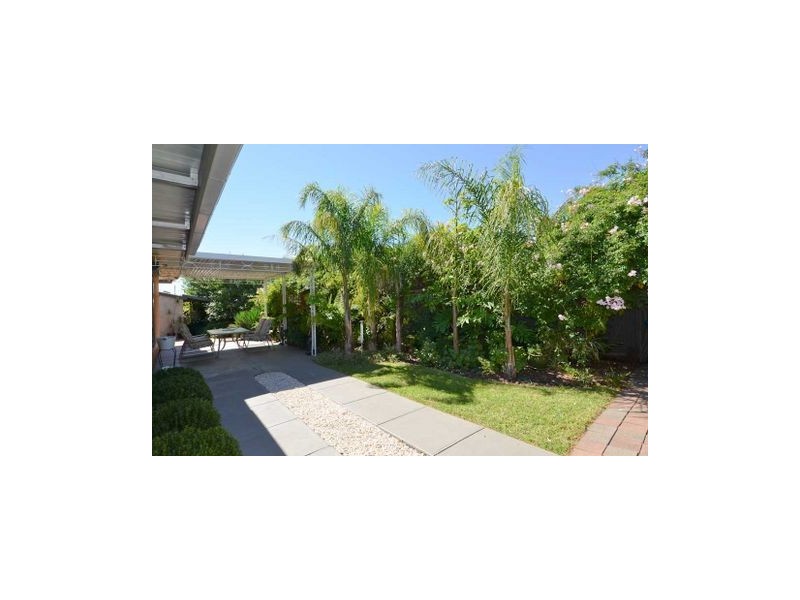 1 Fry Terrace, Newton SA 5074